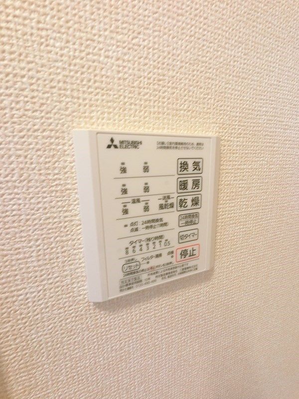 ヴェルドミールカシマⅡ その他5