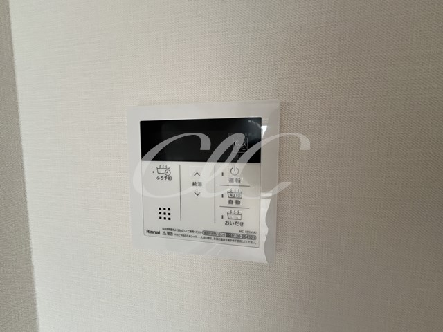 Vega　Sanwa その他12
