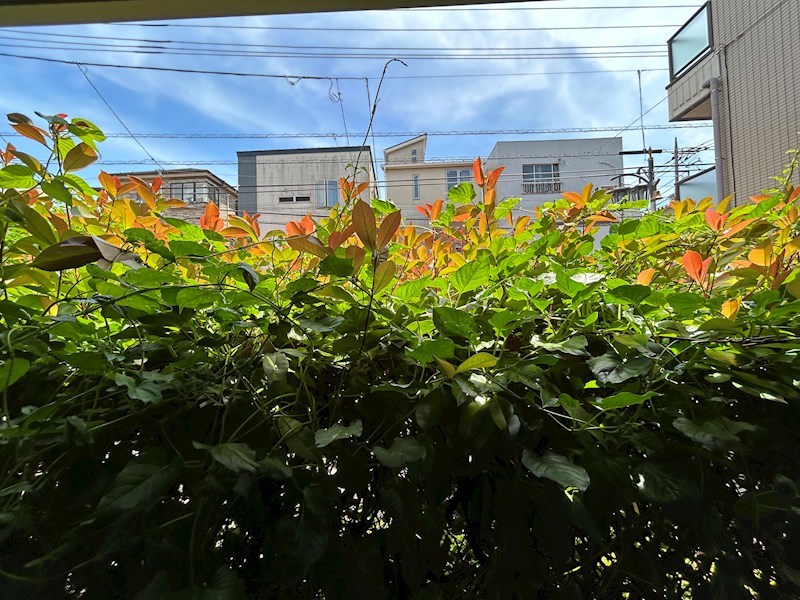 Believe House その他5