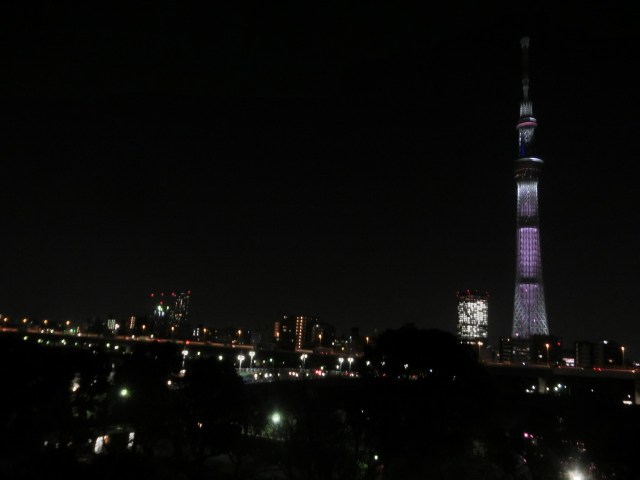 パークサイドハイツ その他10