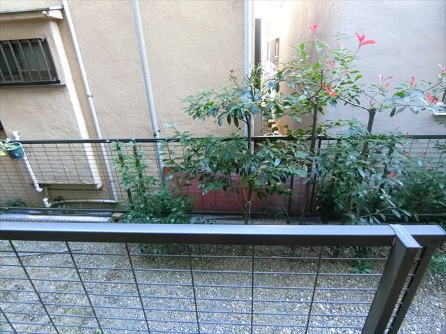 DWEL COME N  その他8