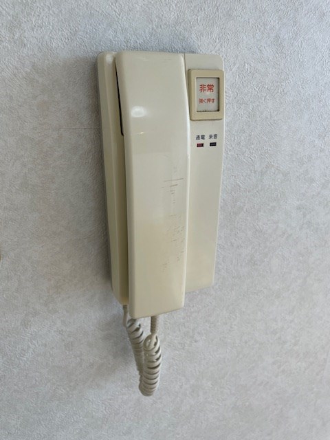ボルゲーゼ その他6