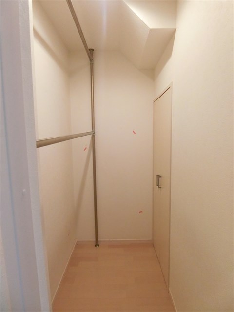HaumeaⅡ  その他5
