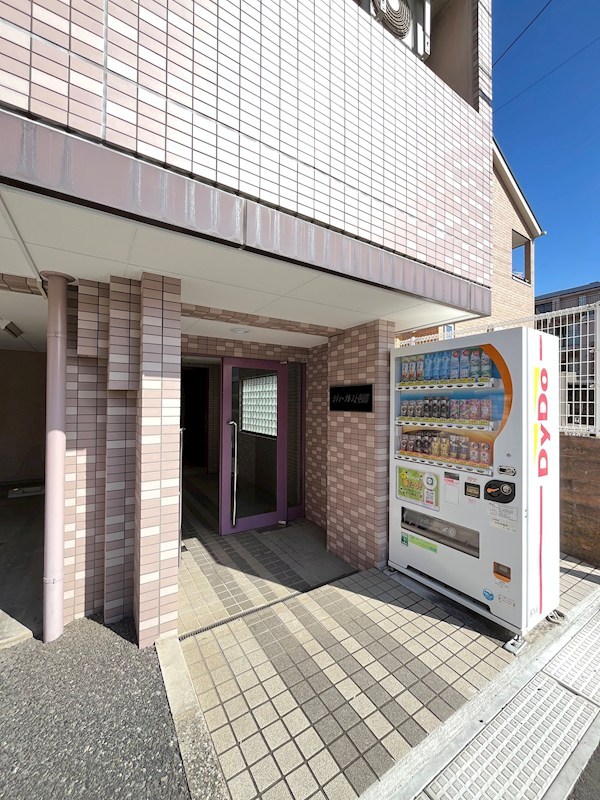 その他11