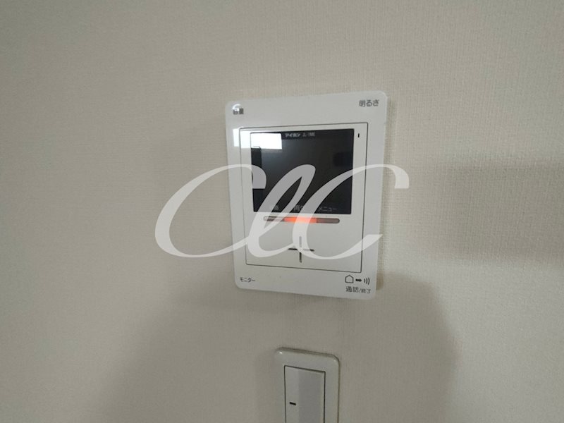 ビオレータ その他6