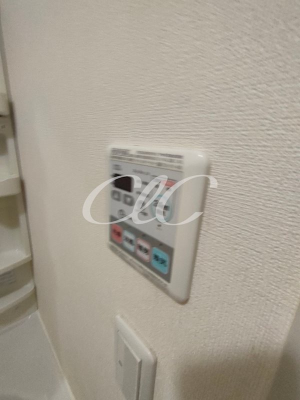 ビオレータ その他8