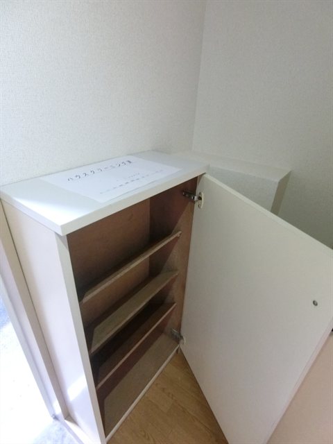 ルミエール星野 その他4