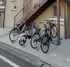 ストリーム花畑 その他5