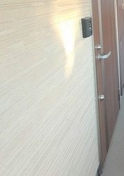 ストリーム花畑 その他7