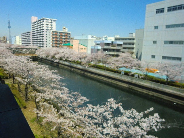 パークサイドハイツ その他4
