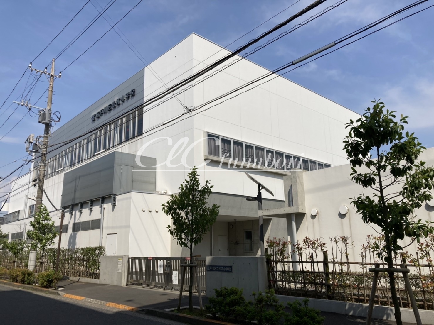 アンプルール フェール リリエンハイムⅡ 小学校