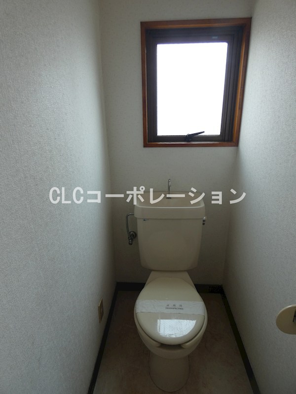 パール街路樹 その他1