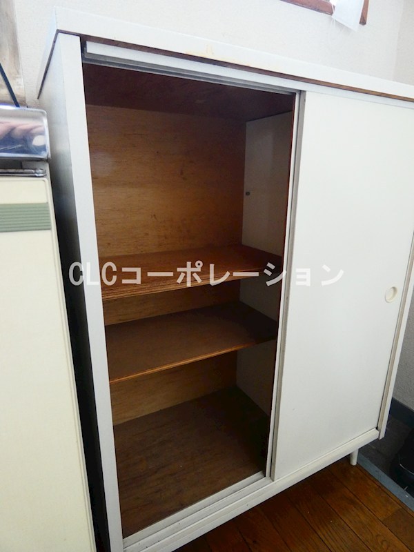 パール街路樹 その他3