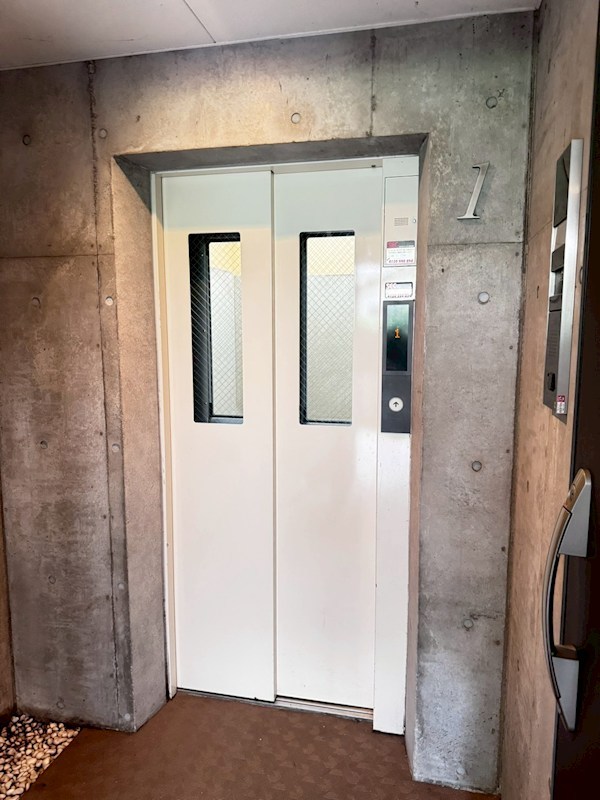 スコレータムラマⅡ その他7