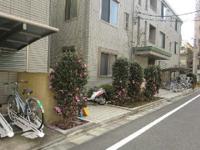 FLORAL EAST その他1