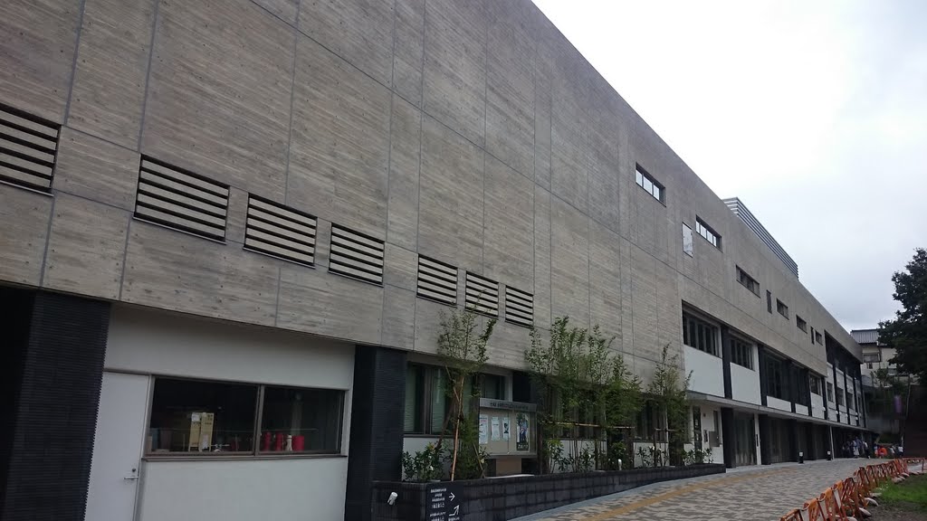橋本荘 図書館