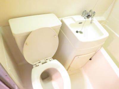 パインハウス    その他4
