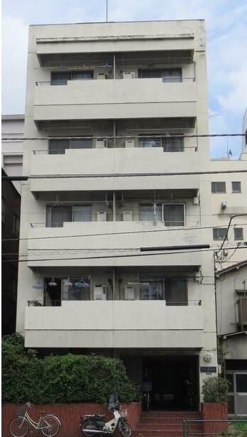 フラットコート  外観