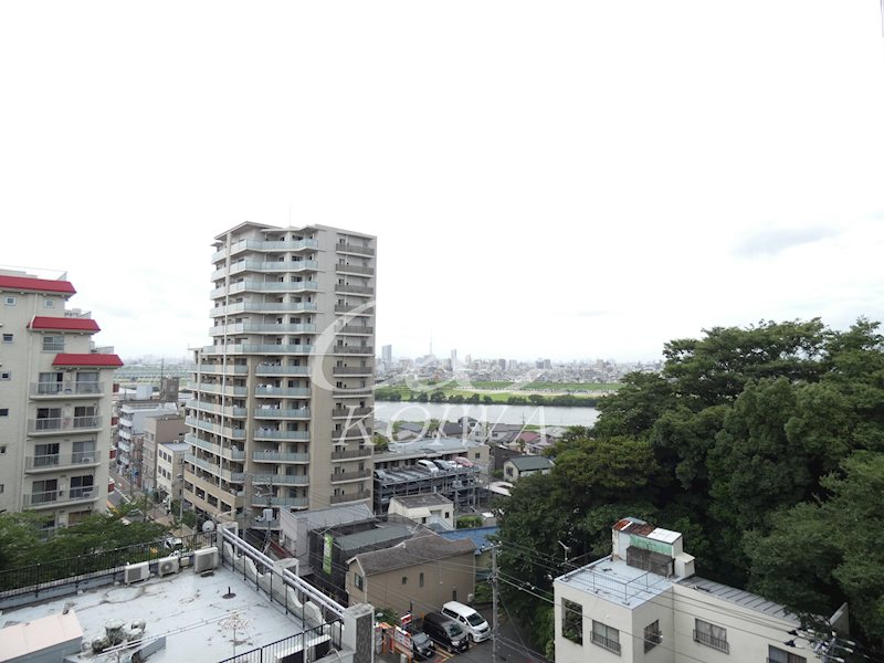 日神パレステージ市川 その他4
