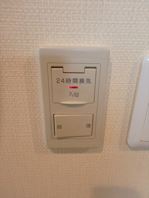ラウニー通り  その他15