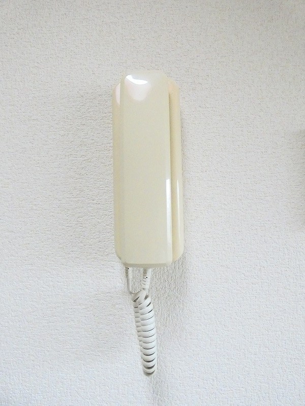 カーソルサヴァリンナ セキュリティ