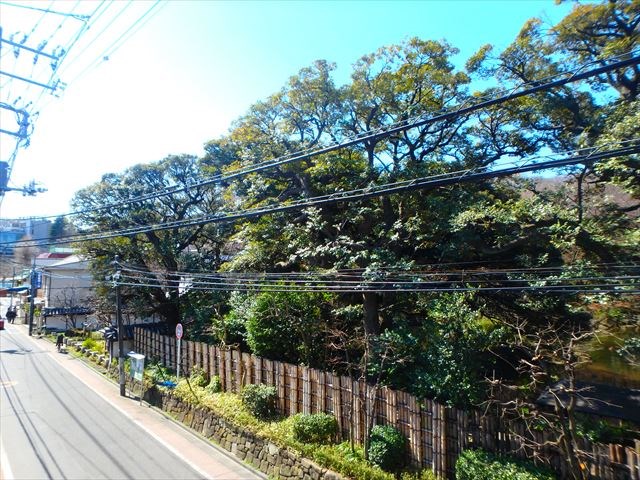 Zen その他2