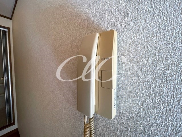 フェーヴ その他6