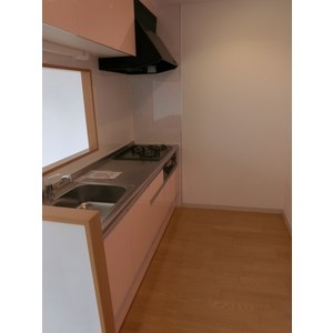 Y`S Happiness その他4