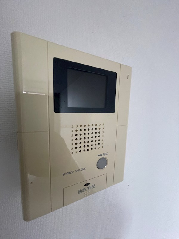 ヴィクトリアン その他5