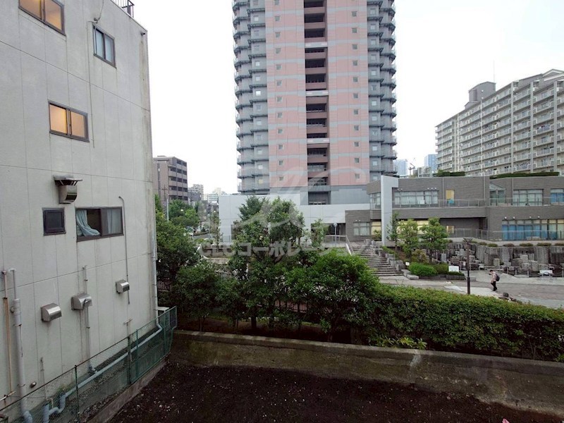 Skuld江東牡丹 その他4