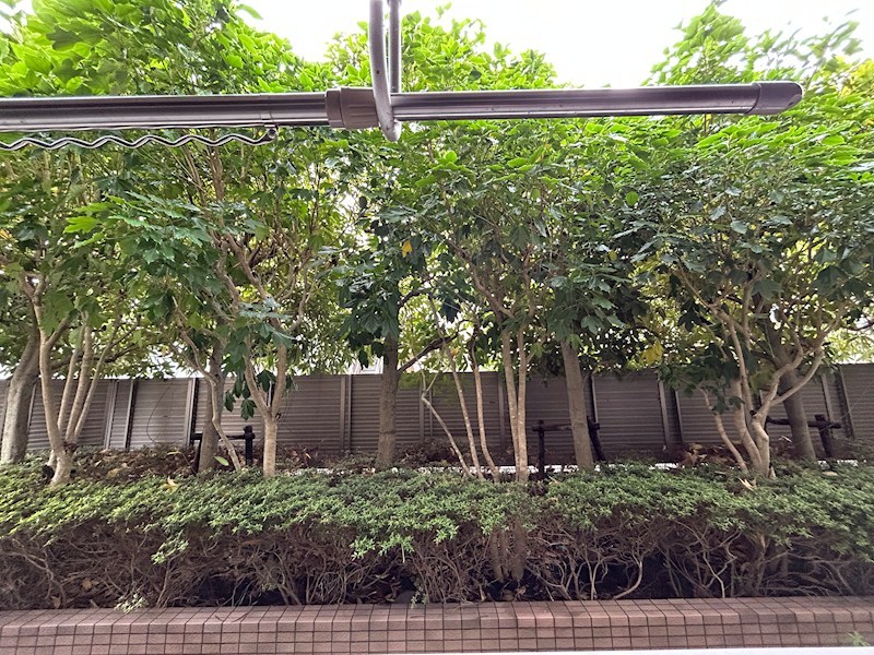 ドエル住吉 その他4