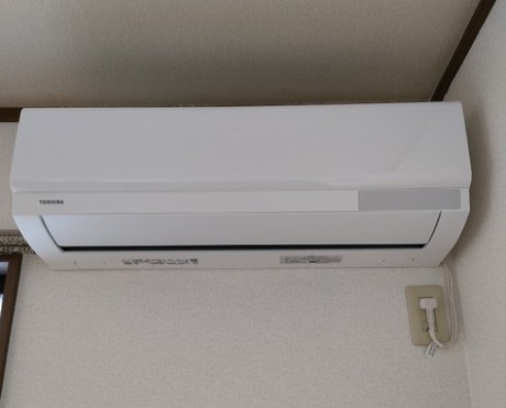 エヴァーグリーンA その他4