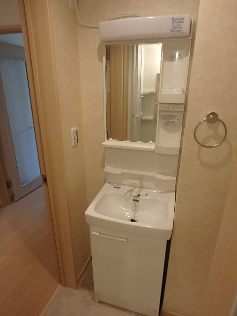 Ｐａｃｅ　Ｆｏｎｔａｎａ その他2