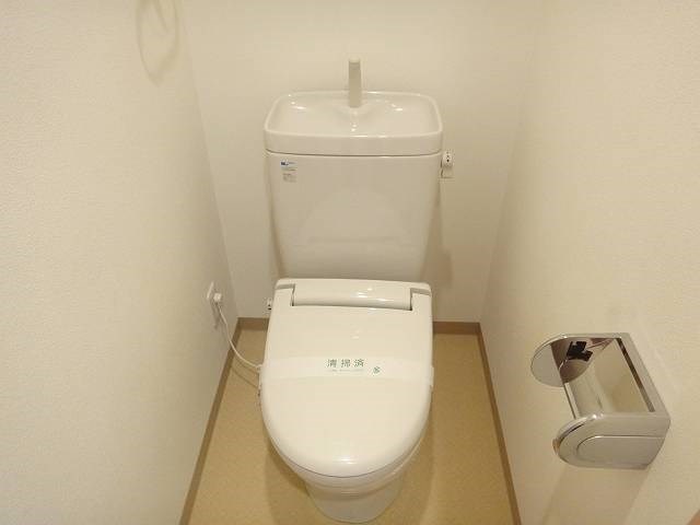 エバーグリーン   その他1