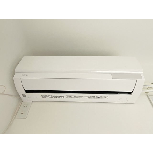 プティロータス その他5