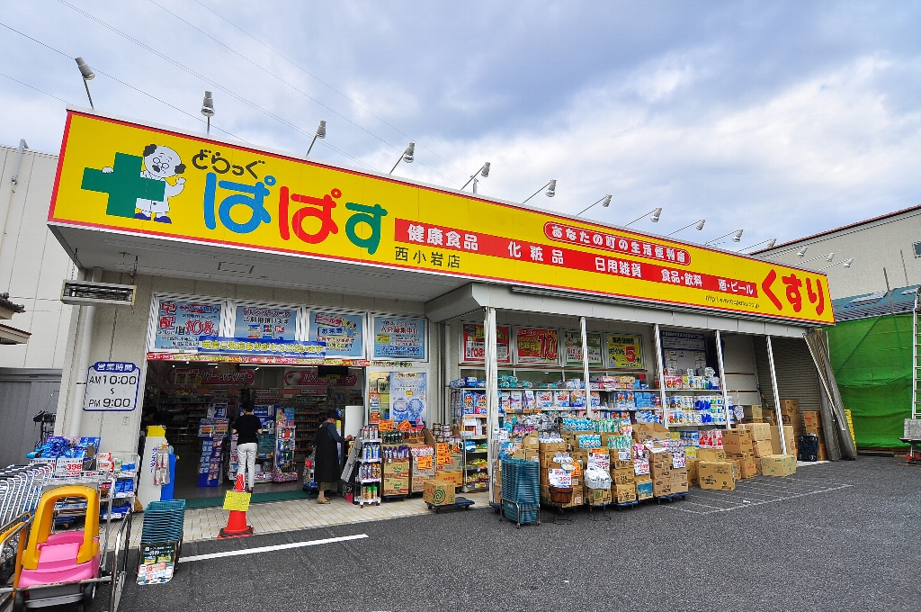 プティロータス 周辺画像6
