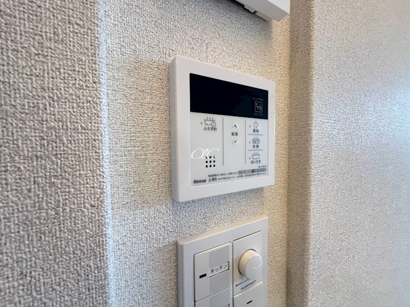 ブルーメゾンワイ その他