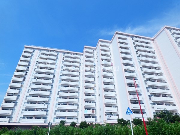 南砂住宅２号棟 外観写真