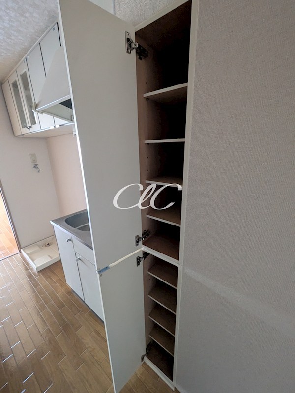 ヴィオラ その他8