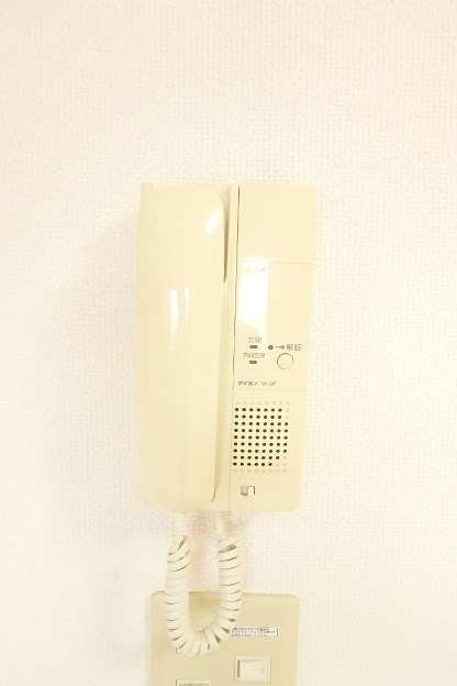 サンフラワーフィル その他4