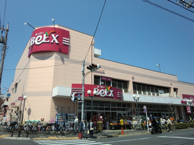 ルピナスⅧ 周辺画像3