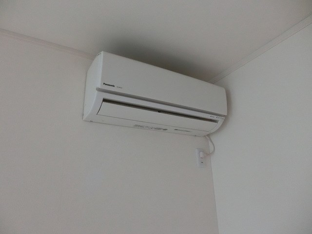 ベルフラワー その他4