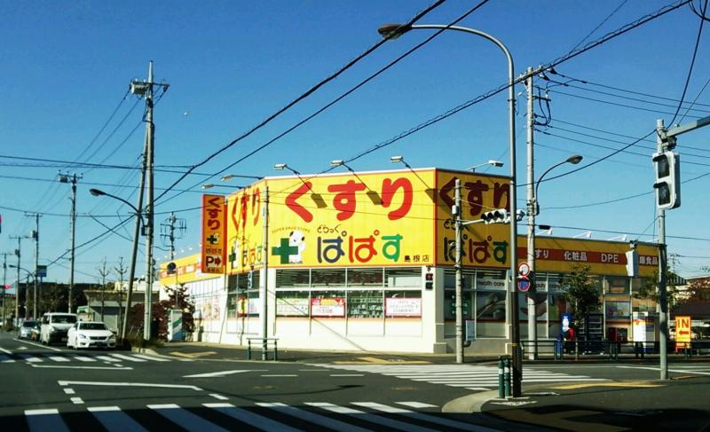 グランシャリオ西新井 周辺画像5