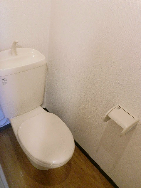 LUMIELE S･KⅡ その他4