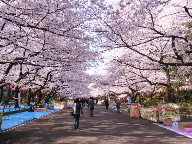 ALERO Yushima-South 周辺画像10