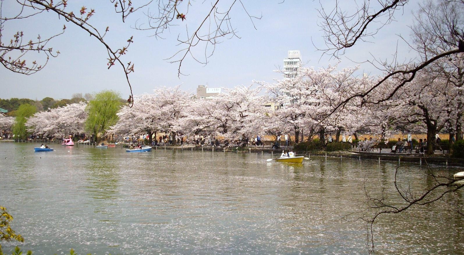 ALERO Yushima-South 周辺画像8
