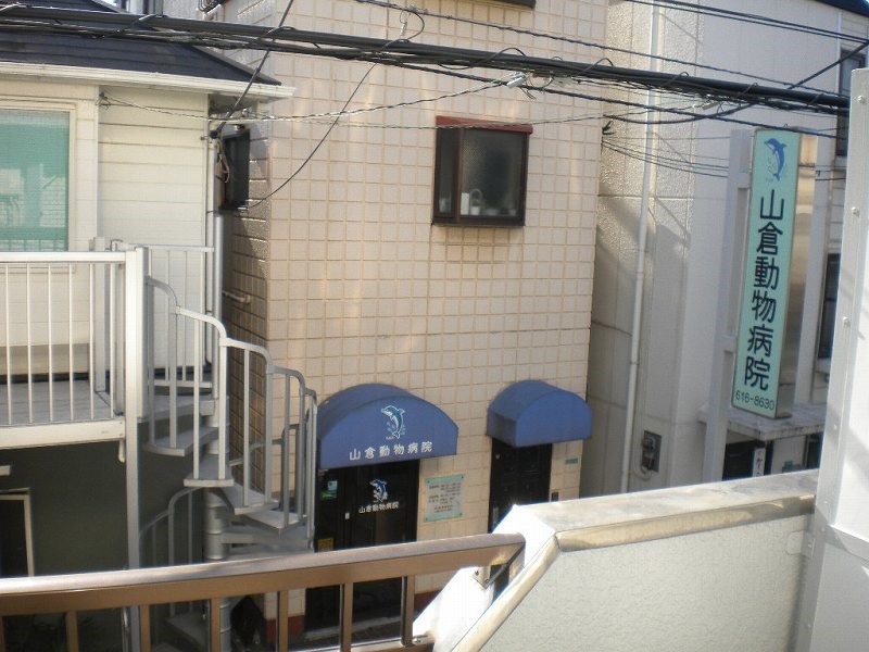 スワンハイツ  その他6