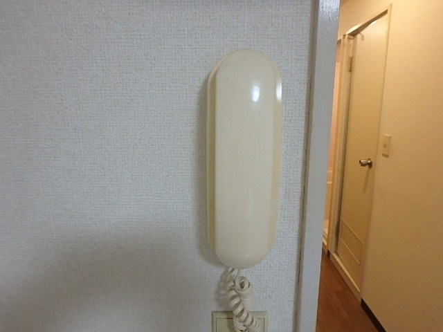 シーダⅡ その他5