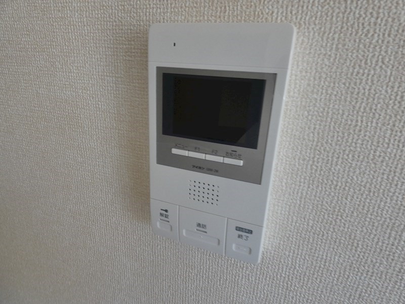 GOLDEN RINGS 12 その他6
