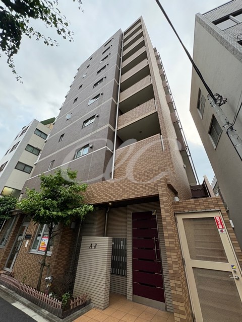 A8 外観